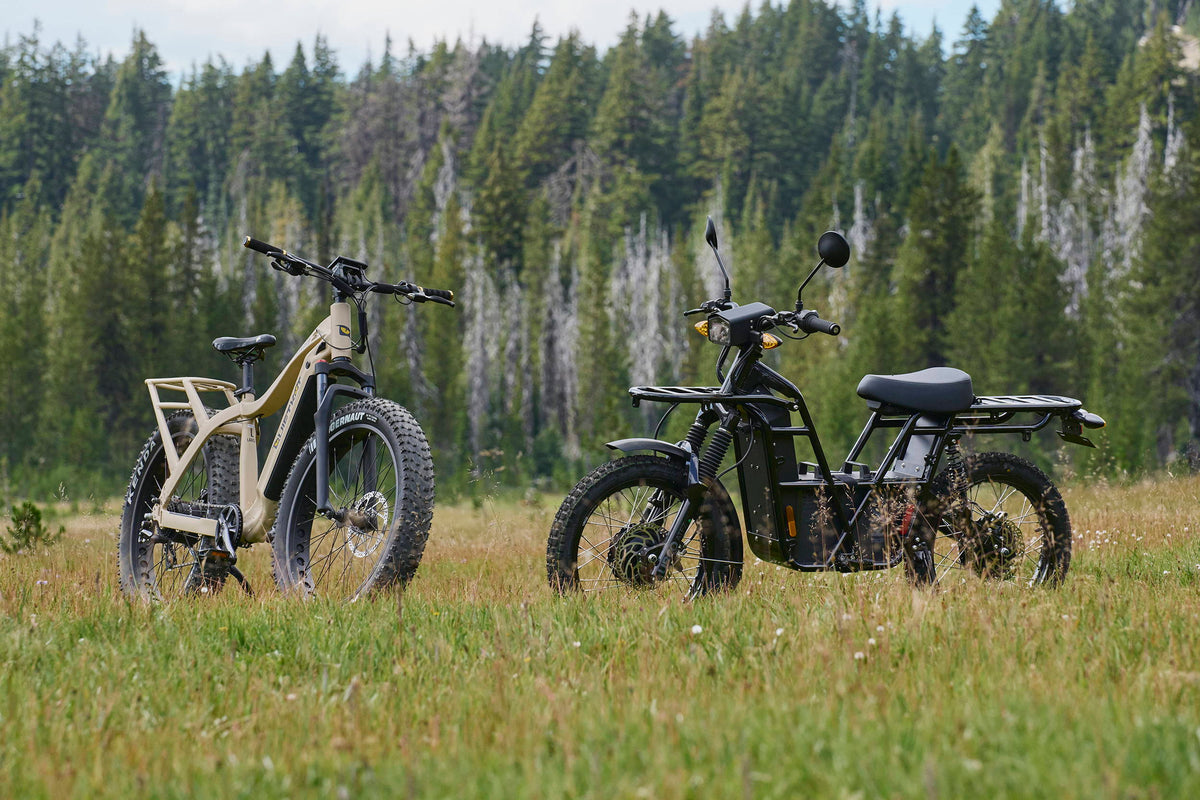 off road electric motorbike